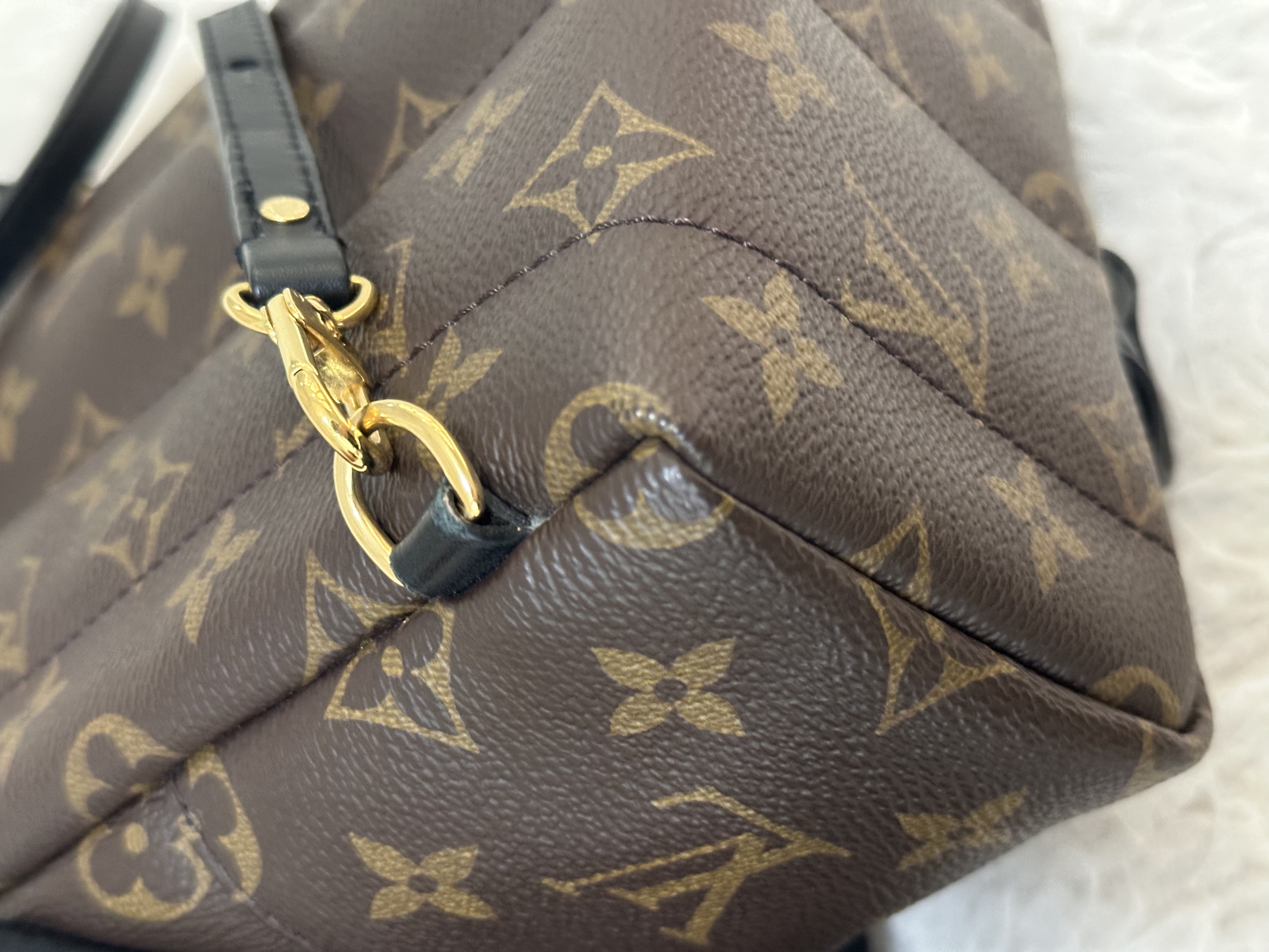 Pre-owned Louis Vuitton Monogram Palm Springs Backpack /26NY10