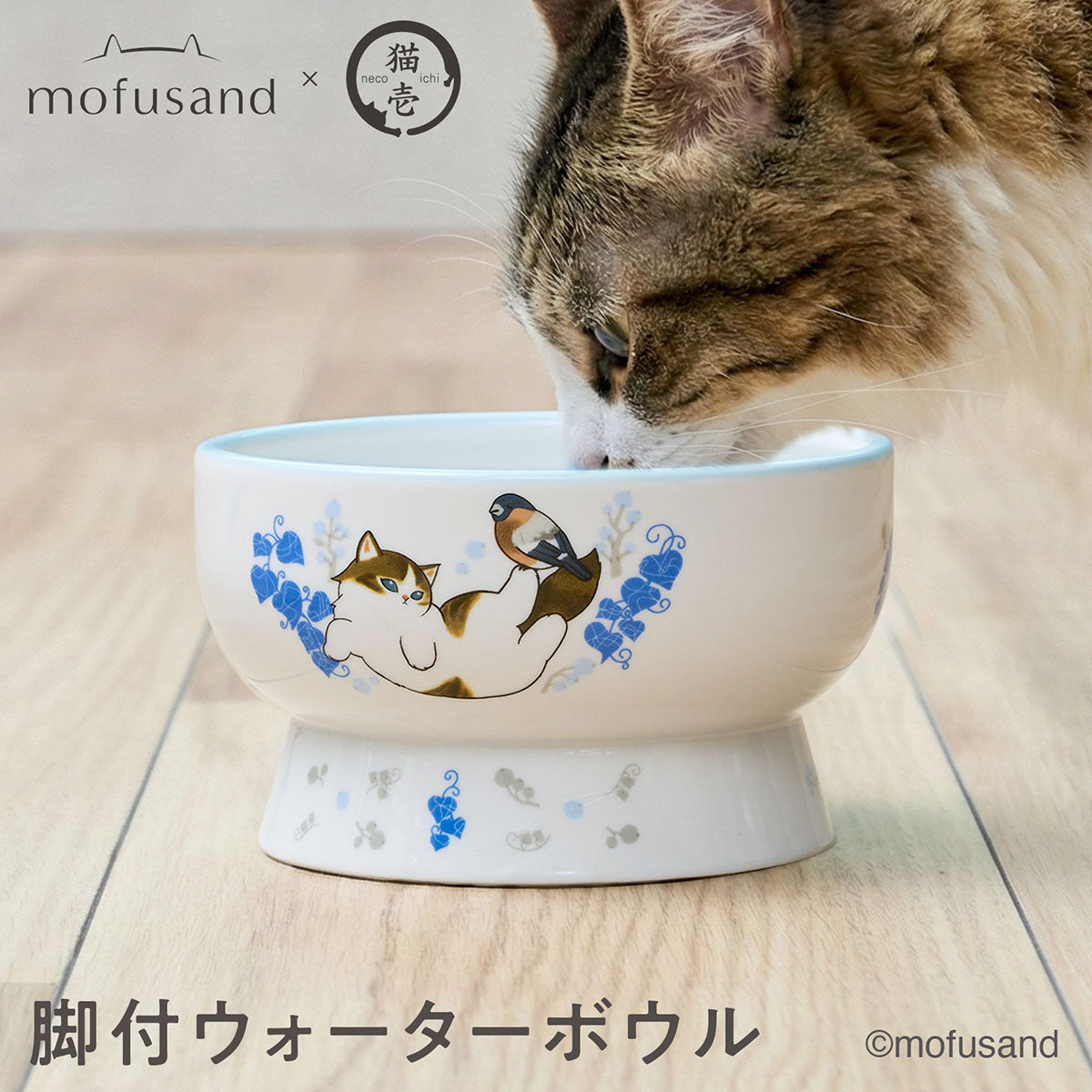 🎀【預訂】mofusand x 貓壱陶瓷貓飲水碗