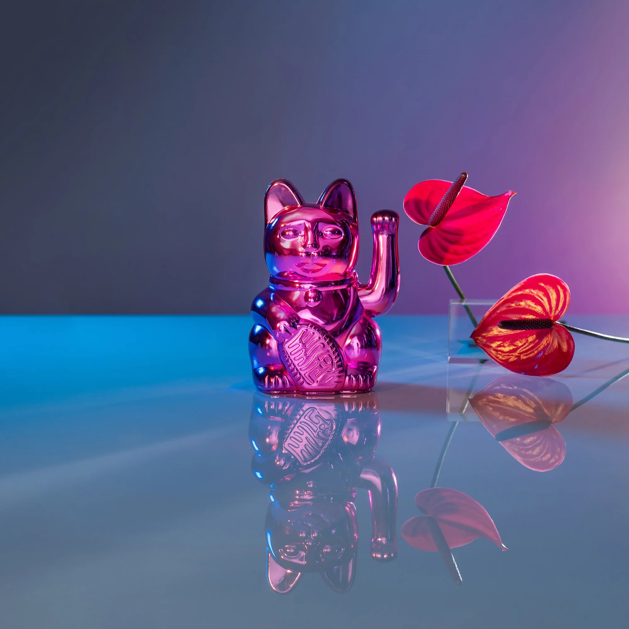 📦訂購 Donkey Products SHINY PINK "SORYA" Lucky Cat 招財貓