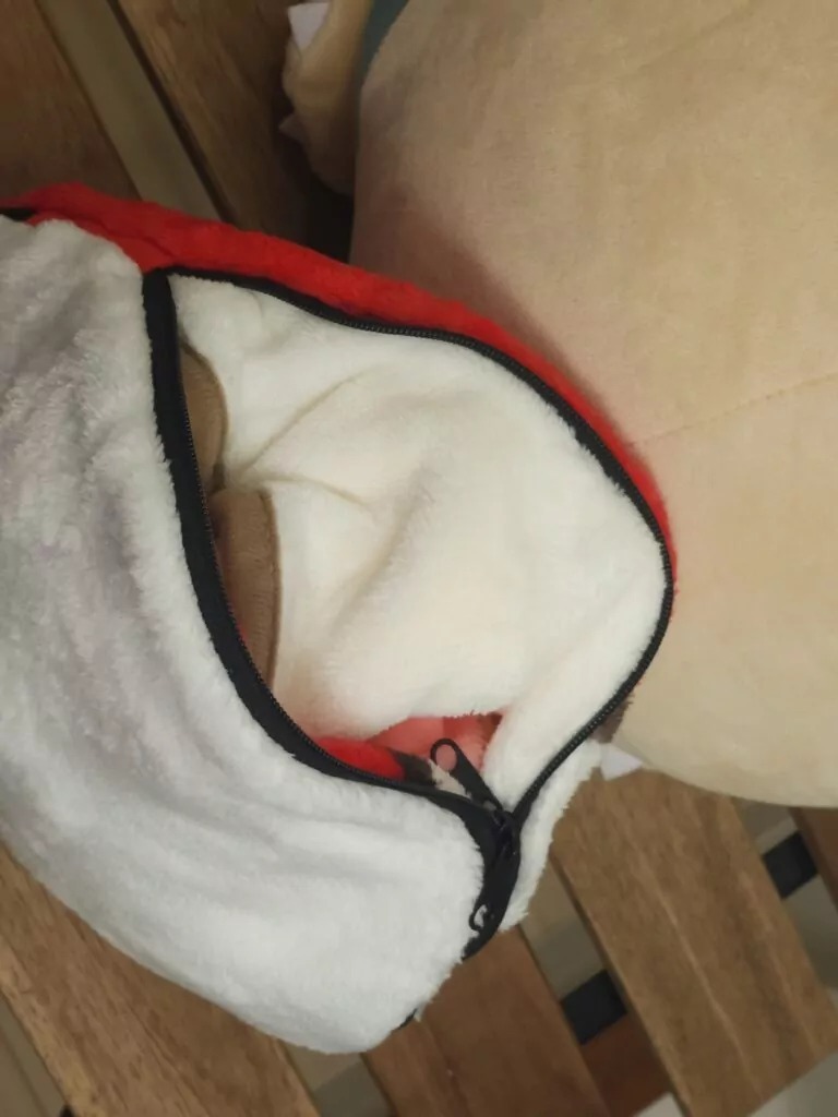 [現貨] [日本直送] POKEMON | 毛毯 {TF2402100}