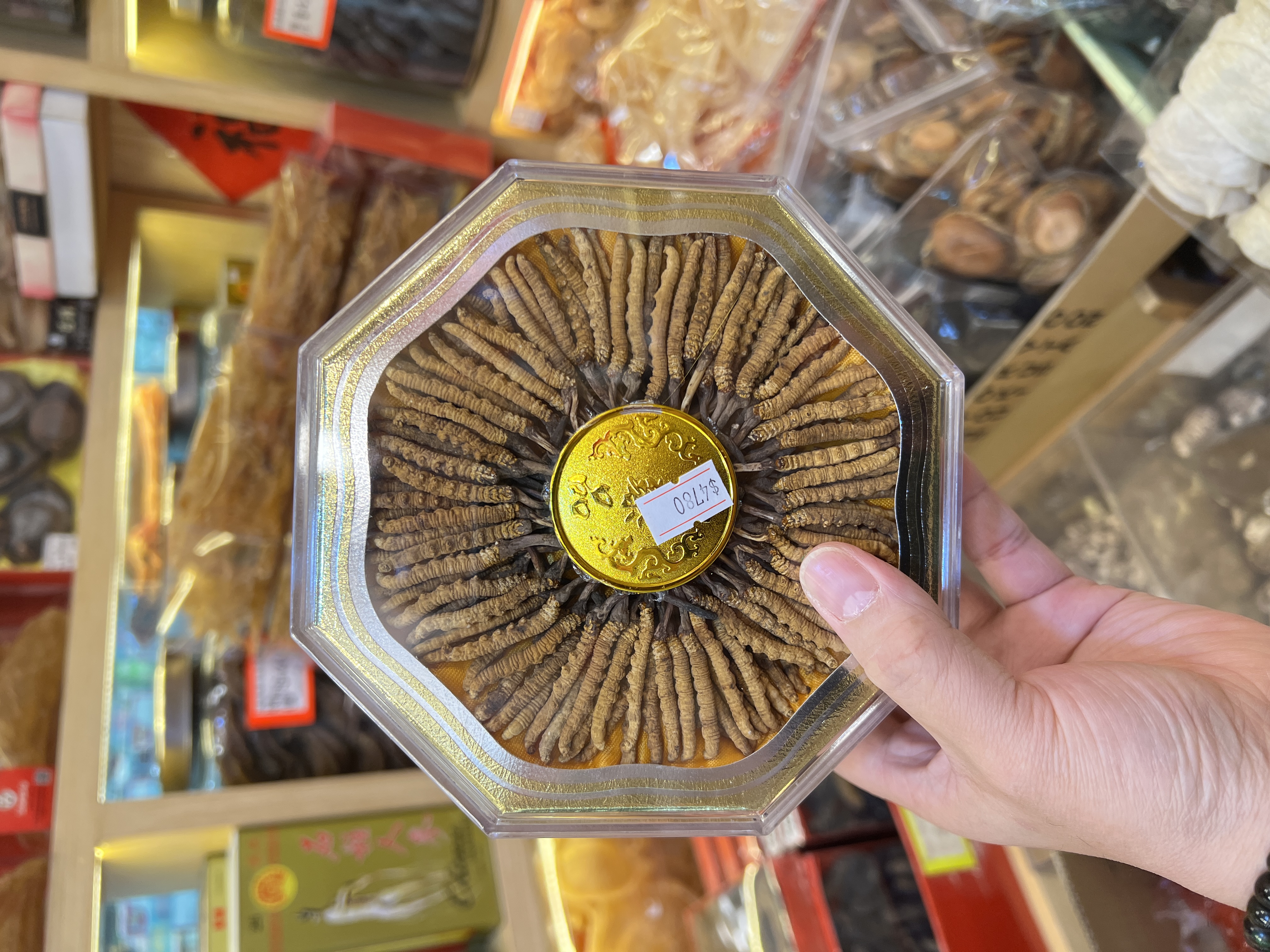 西藏野生那曲冬蟲夏草