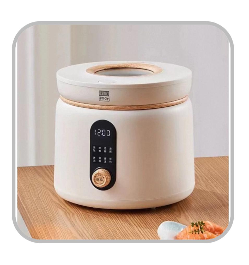 SURE 石崎秀兒 智能低糖電飯煲 2L SQ-RCP4205A  香港三腳插頭 (預購產品)