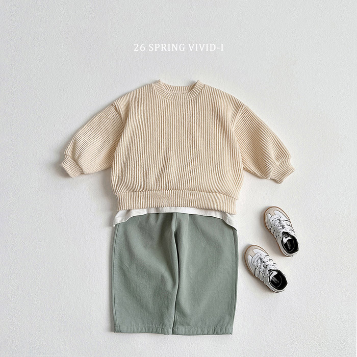 🇰🇷vivid_i pants