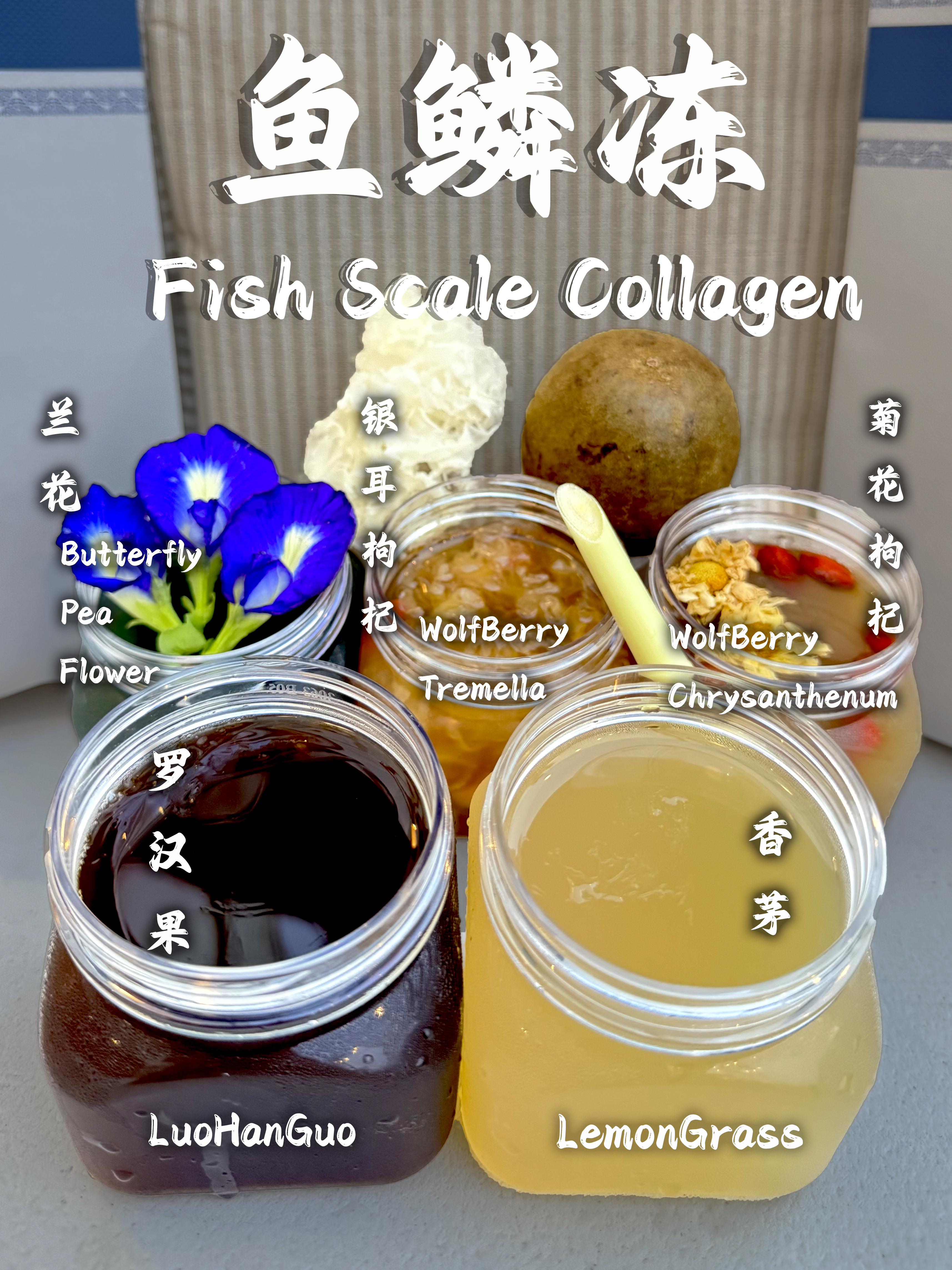 Fresh Boiled Fish Scale Collagen 新鲜炖鱼鳞冻