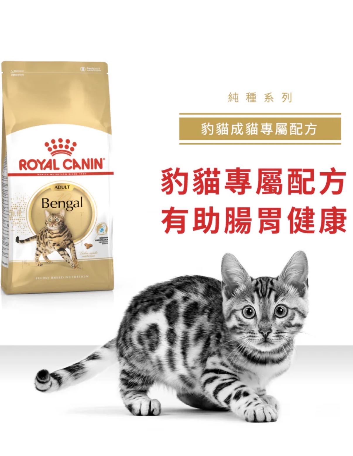 Royal Canin 法國皇室 - 豹貓專屬配方10KG