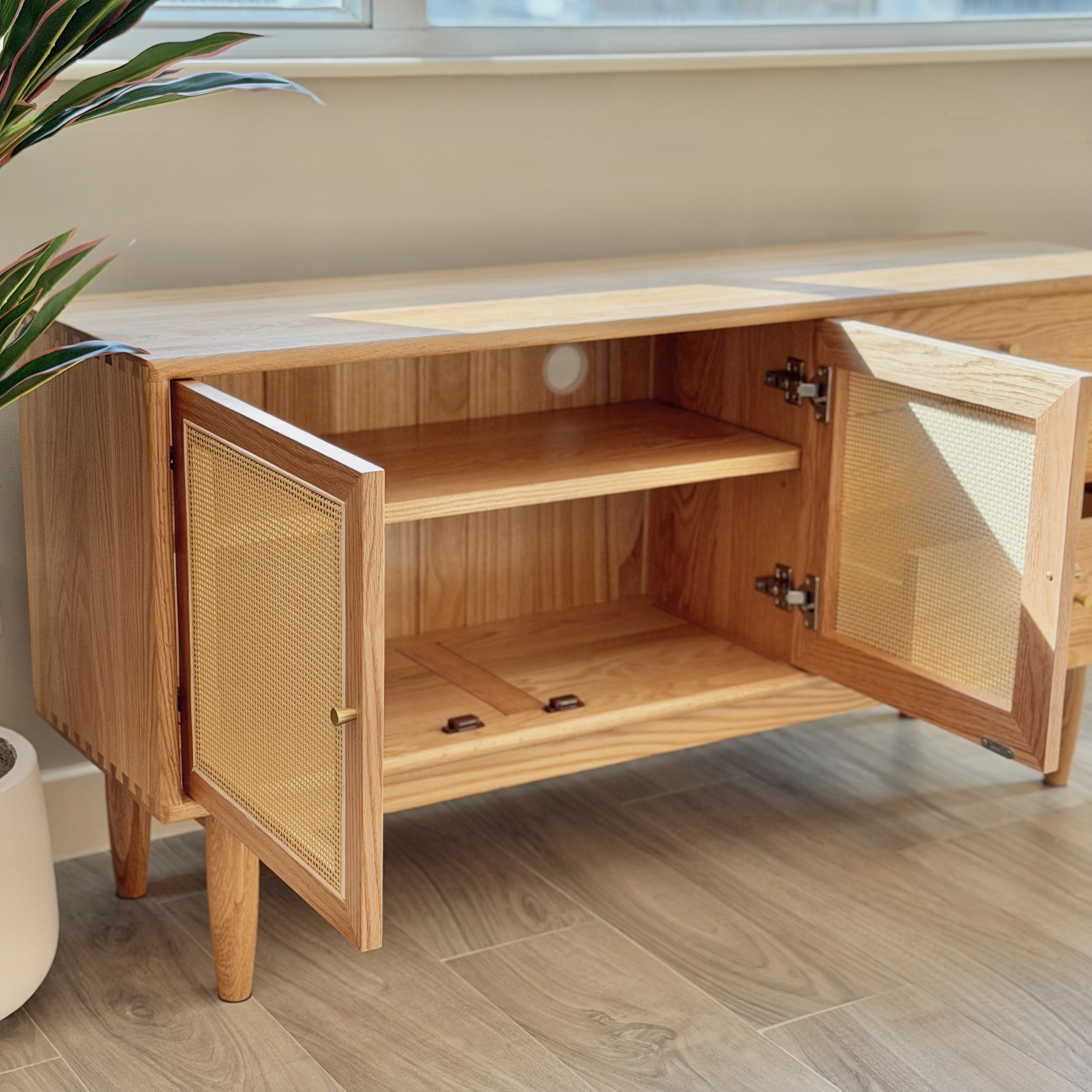 SAGION TV Cabinet
