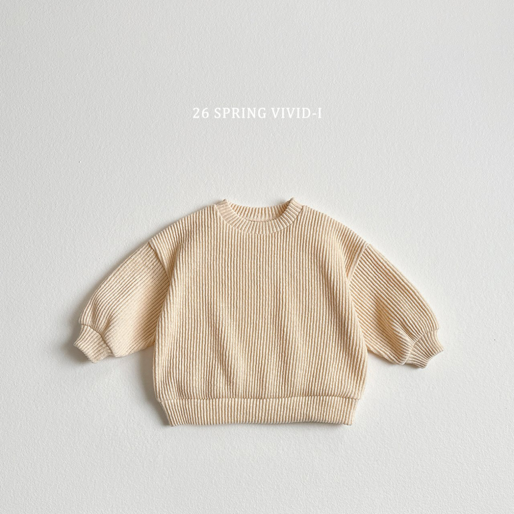 🌸預訂 韓國直送🌸🇰🇷VIVIDI三色寬鬆羅紋針織衛衣