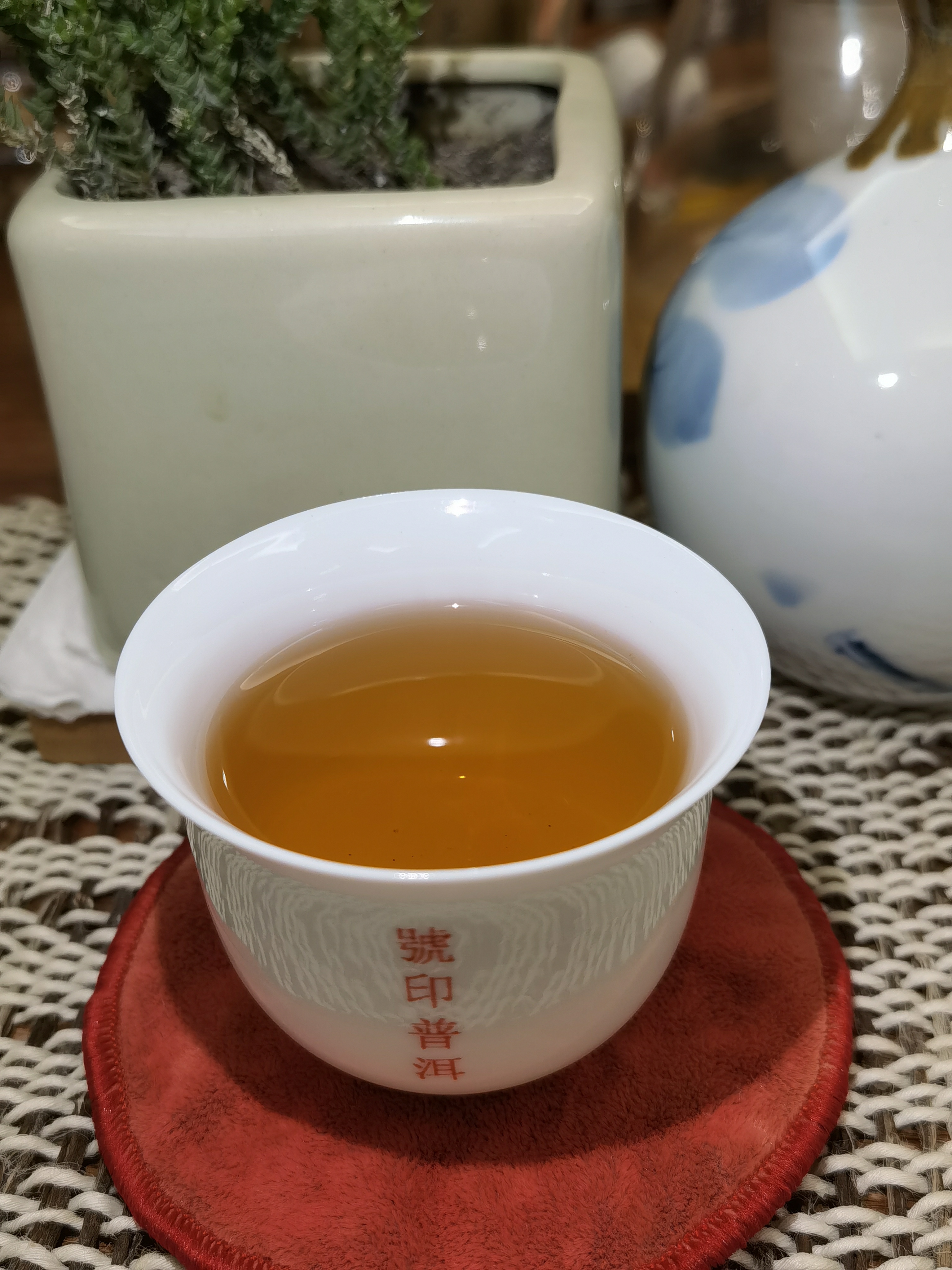 🌿 野生赤靈芝：自然的健康奇蹟 