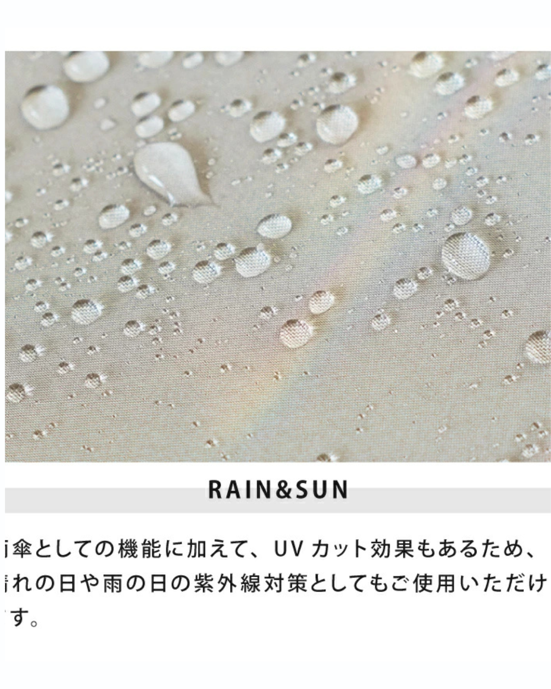 日本代購【 2026新商品 日本直送 because 毛茸茸小鳥 圖案 晴雨兼用雨傘| 傘袋可變手挽袋| Fluffy Bird Design Rain & Sun Umbrella 】