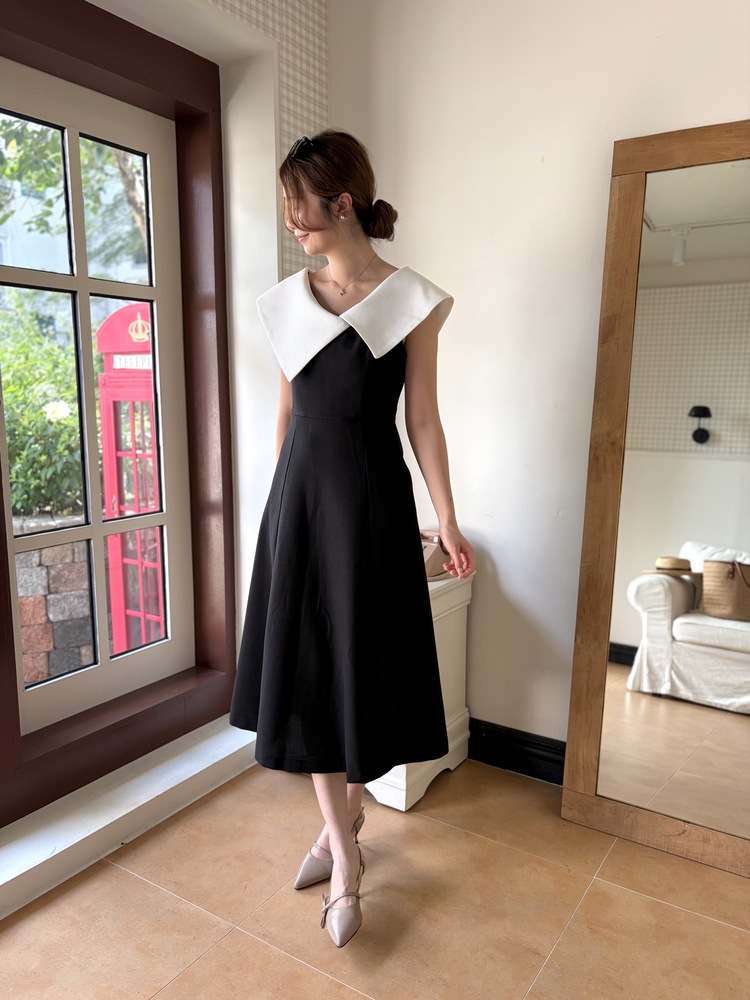 Celine Contrast Collar Dress