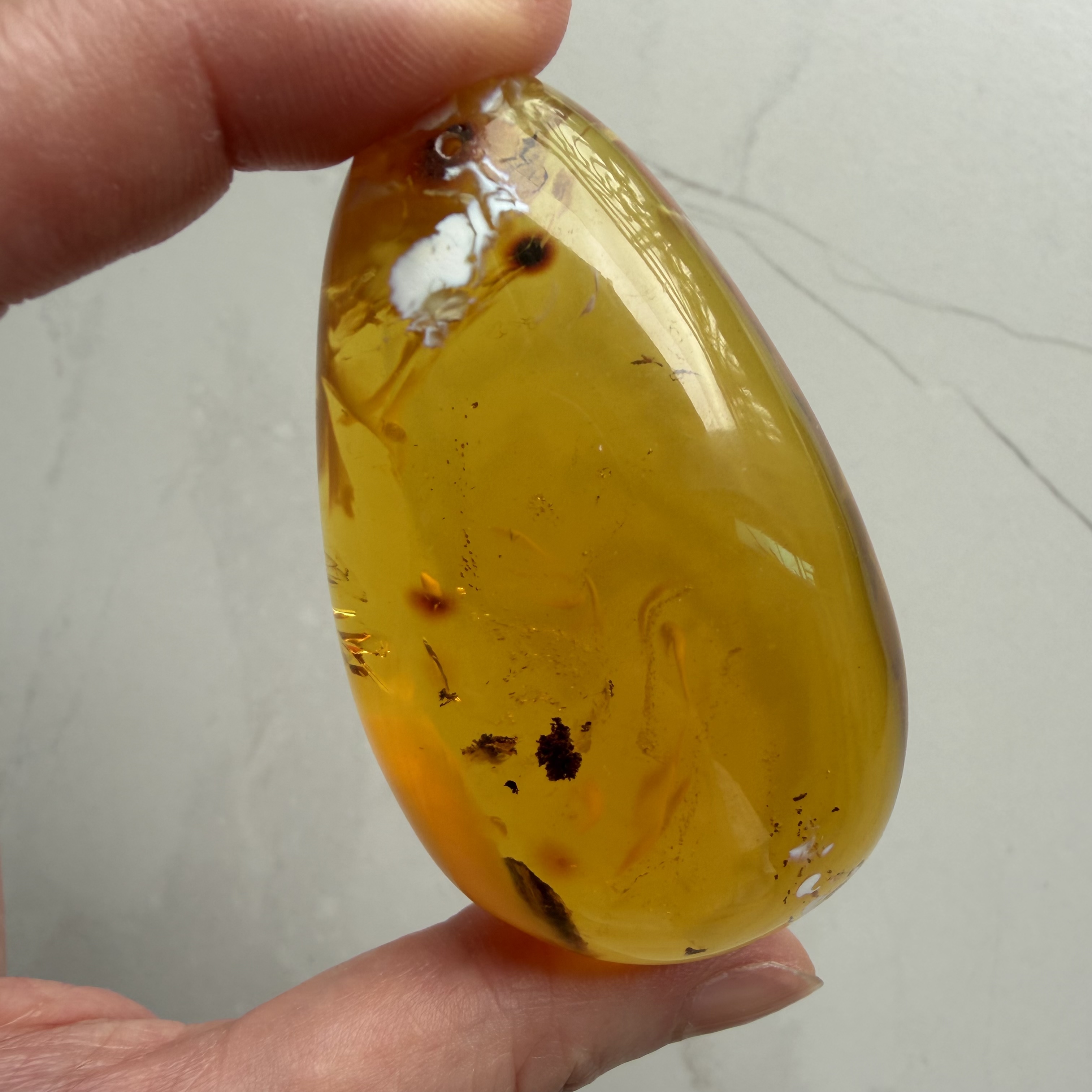 ［閉店一口價］波羅的海金瓷白熒光植物意境珀
