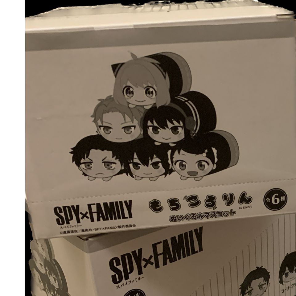 SPY×FAMILY 1BOX - 通販 - fablingbuilt.com