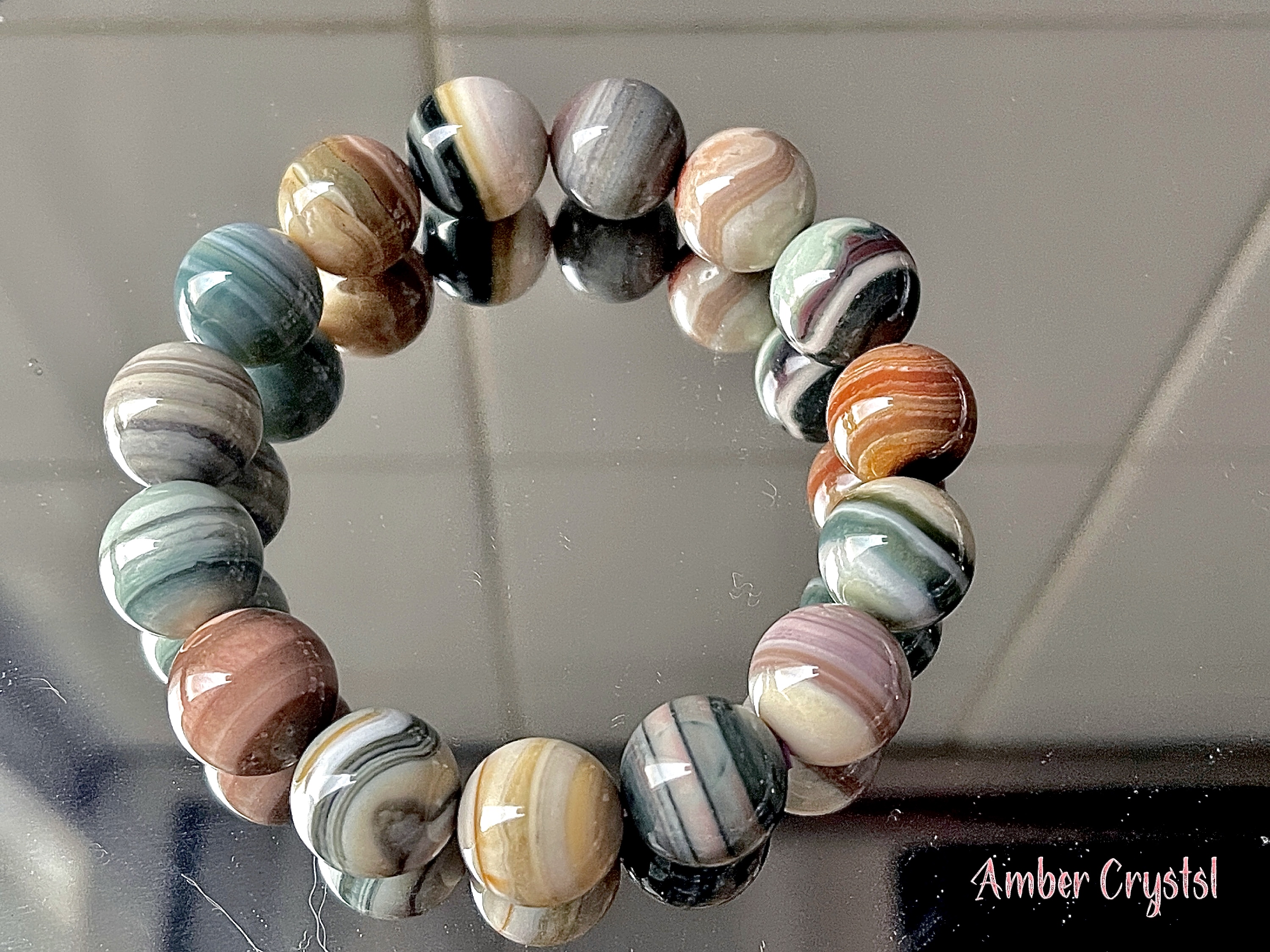 阿拉善左祺千層