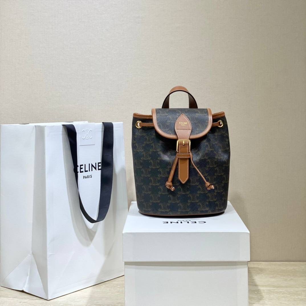 🔥大货实拍图 𝗖𝗘𝗟𝗜𝗡𝗘 ♥𝗧𝗥𝗜𝗢𝗠𝗣𝗛𝗘 𝗖𝗔𝗡𝗩𝗔𝗦 𝗙𝗢𝗟𝗖𝗢 型号：197662 尺寸：17*20*10cm 本命老花mini凯旋门背包🤎复古小巧，实用性设计🔥肩带长度可调节，单肩斜挎都很好看！