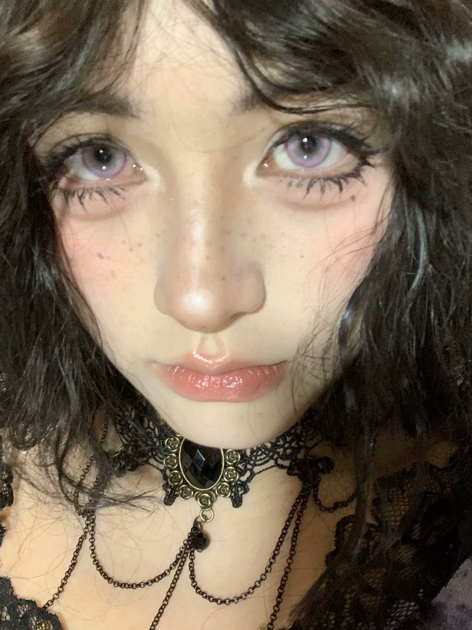 EggUncle 半年拋 小狗火龍果/失焦庇護所