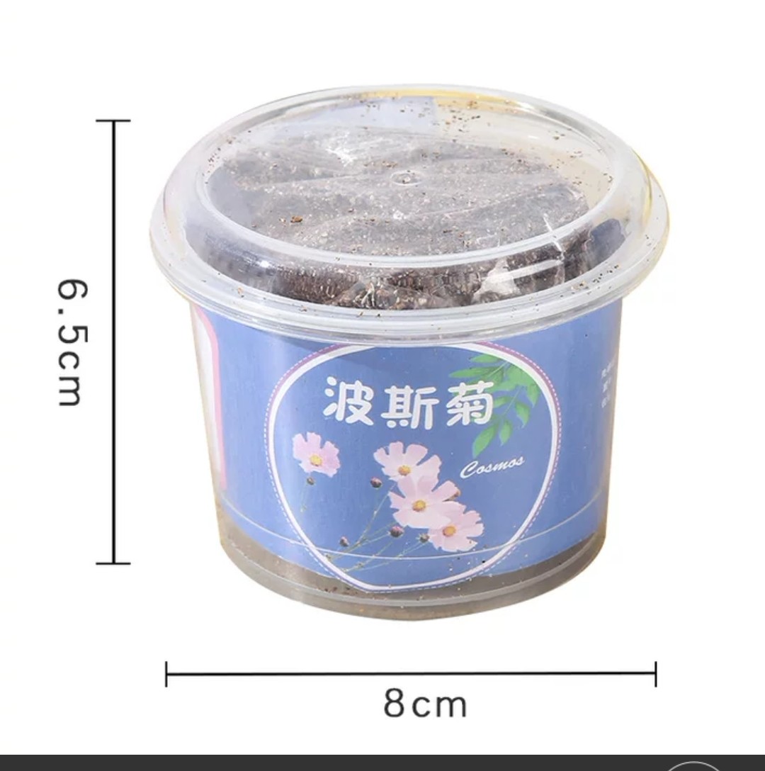 STEM科學實驗材料包- 種植觀察小盆栽 (G742) 🚛 送貨方式請選(4)        
