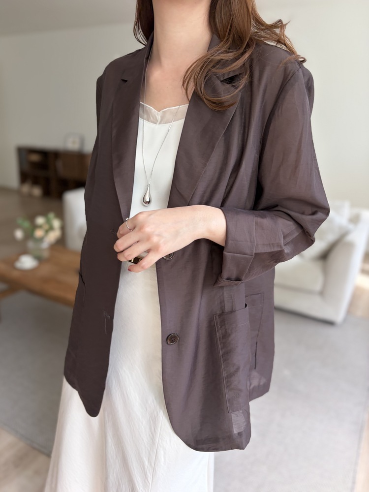 The Fine Silky Blazer (Brown)