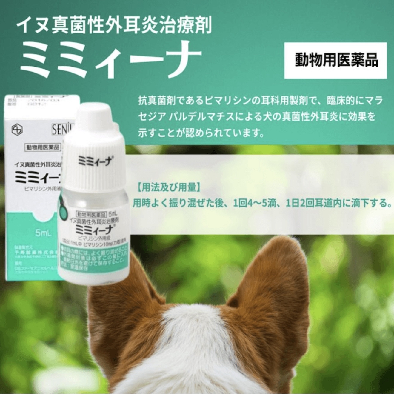 [現貨] SENjU千壽製藥 寵物犬貓 用滴耳液 真菌細菌感染外耳炎 清潔耳道 5ml