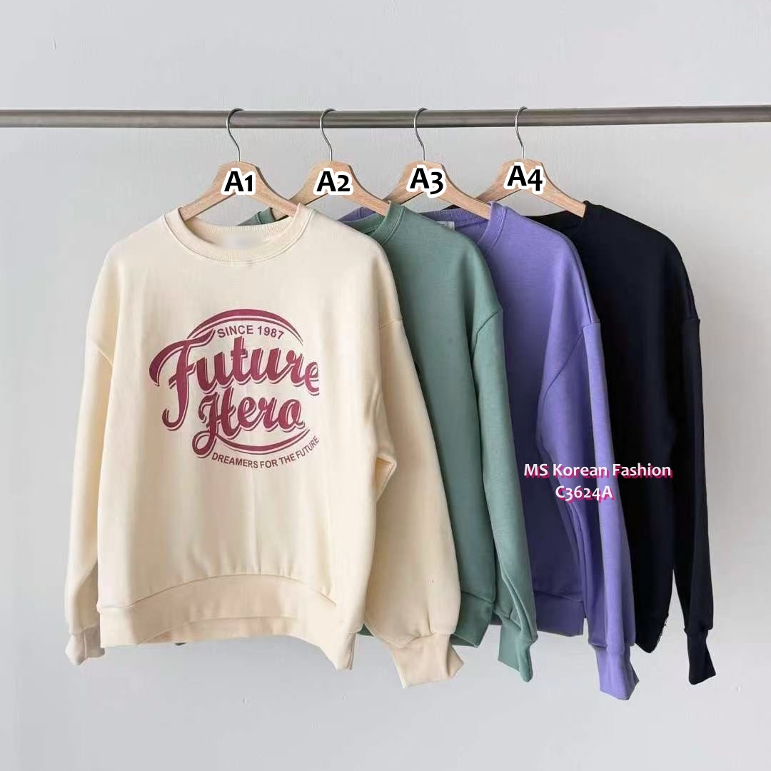 C3624 韓國🇰🇷靚色毛底衛衣