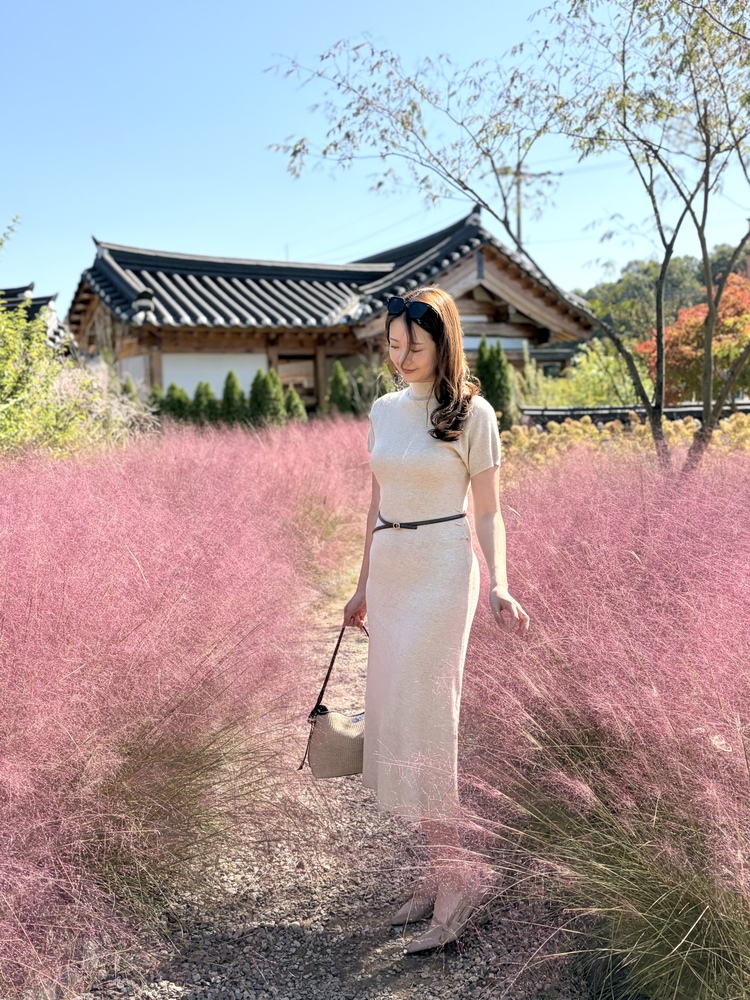Timeless Belted Knit Dress (Oatmeal)