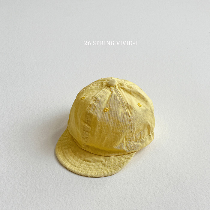 🇰🇷vivid_i cap