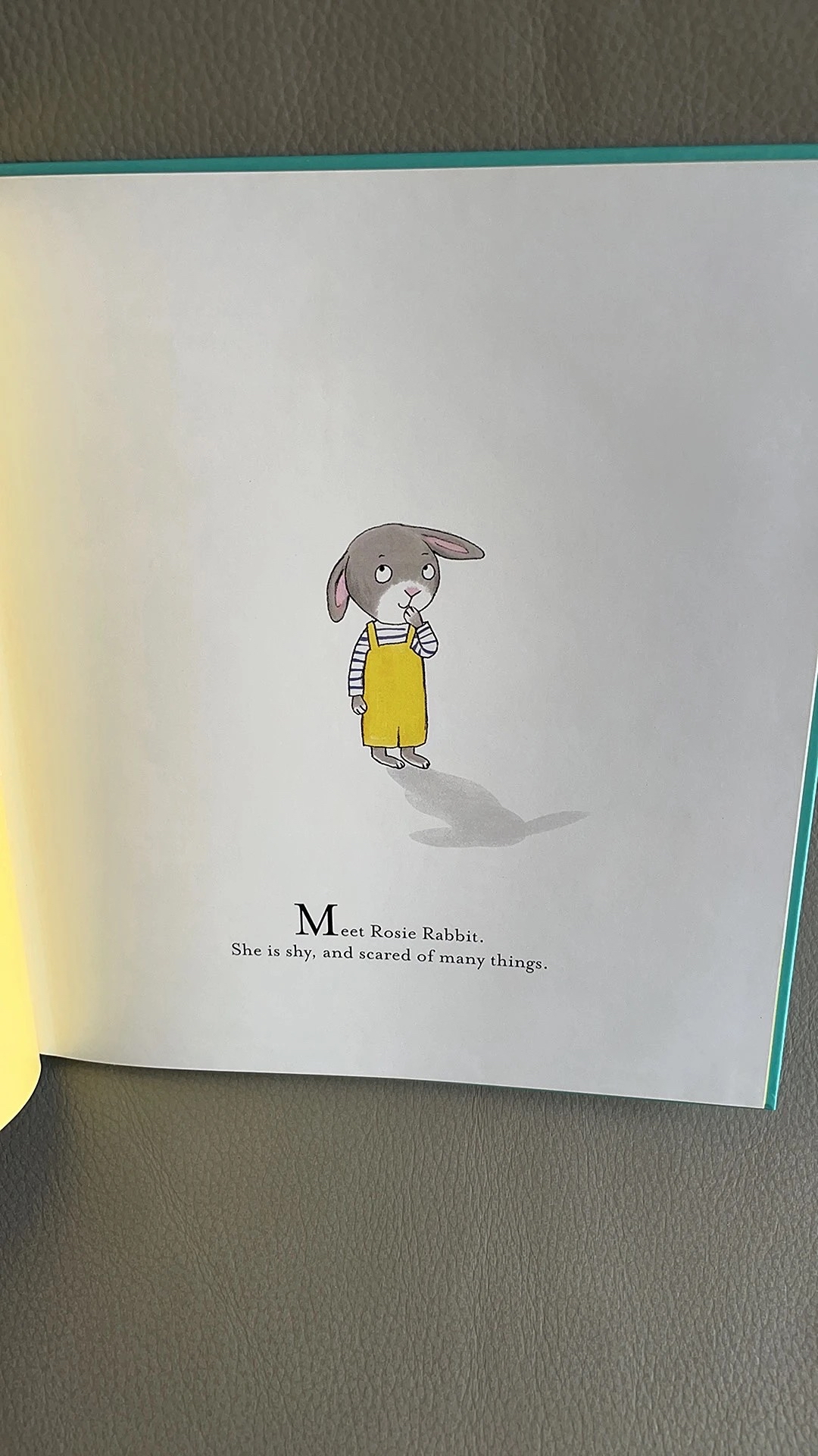 School of Manners / Making Friends：作者 Laura Cowan，插畫師 Rosie Reeve · School of Happiness / Confidence / Kindness：作者 Kimberley Kinloch 與 Zanna Davidson，插畫師 Rosie Reeve