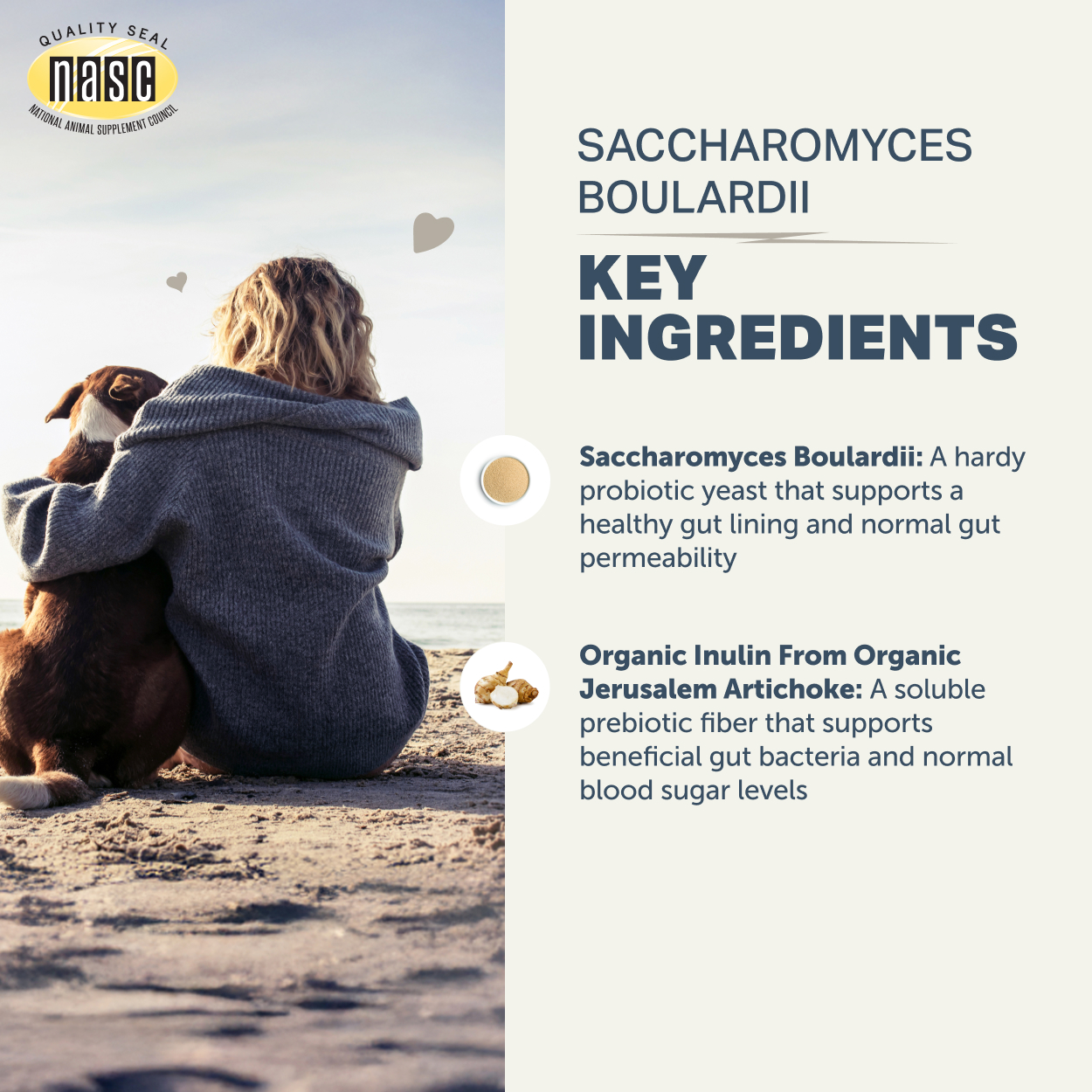 【Four Leaf Rover】Saccharomyces Boulardii 布拉酵母菌粉 (49.5g)｜腸道屏障修復・全天然益生酵母