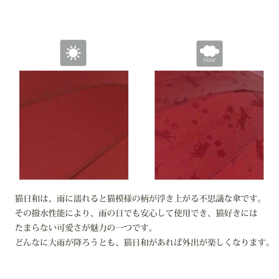 🔥🔥【日本直送《SANTOS》遇水浮影貓咪/櫻花 6骨手開折疊傘】