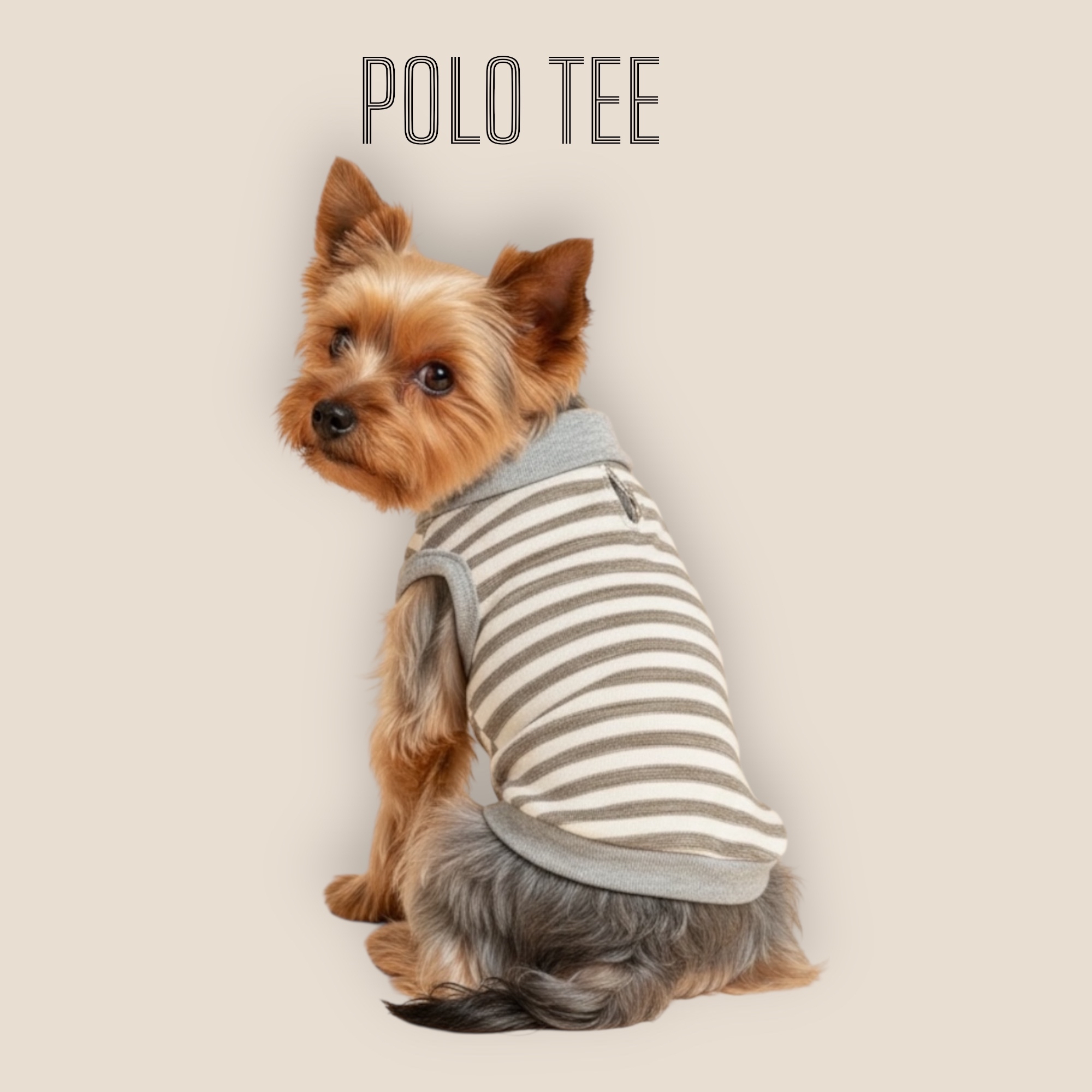 S553GY 條子POLO TEE-灰色 Grey