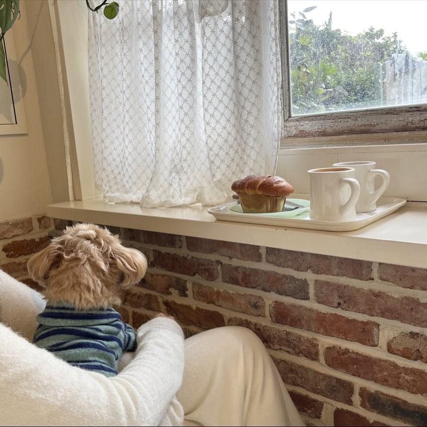 韓國 毛毛間條 衫衫 💚🩵