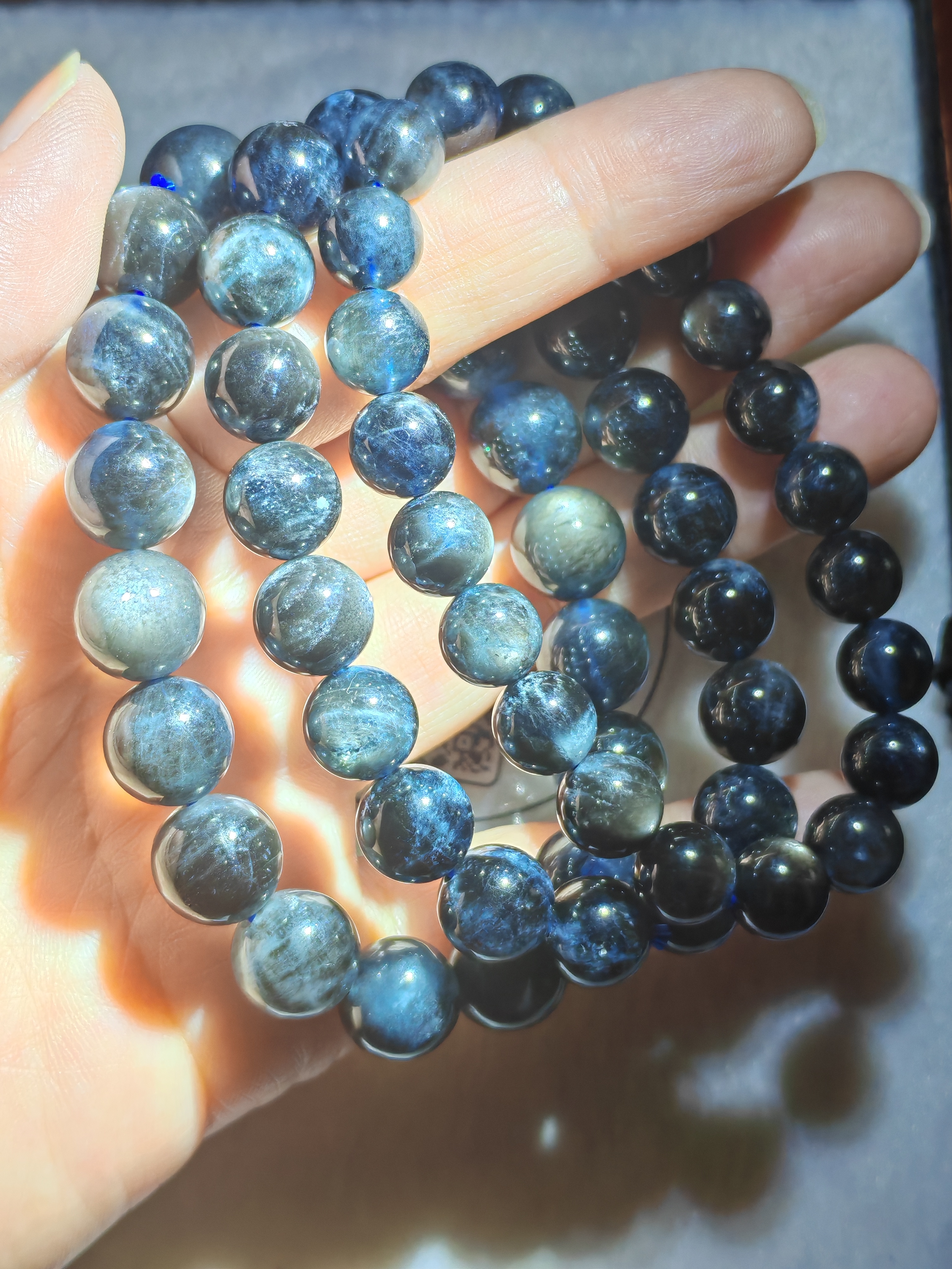 魔鬼海藍寶(New)