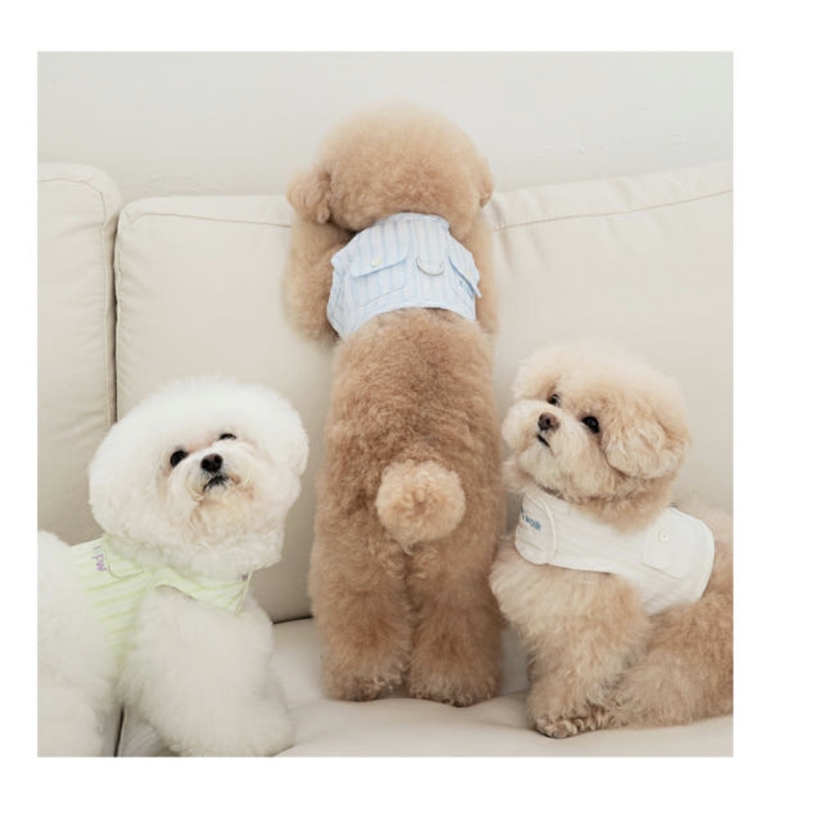 韓國🇰🇷 love walk pocket harness 