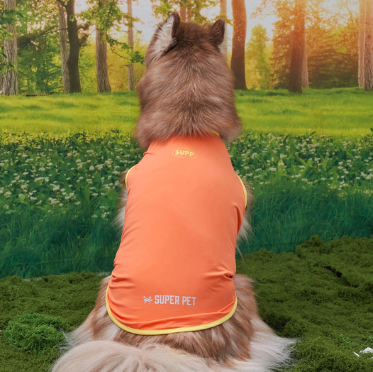 *Super Pet🇰🇷狗狗涼感背心(DG416) 尺碼S-6XL