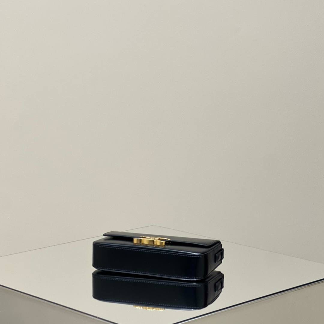 🔥大货实拍图 𝗖𝗘𝗟𝗜𝗡𝗘 ♥ 𝗧𝗥𝗜𝗢𝗠𝗣𝗛𝗘 𝗦𝗛𝗢𝗨𝗟𝗗𝗘𝗥 𝗕𝗔𝗚 型号：194143 尺寸：20*10*4cm