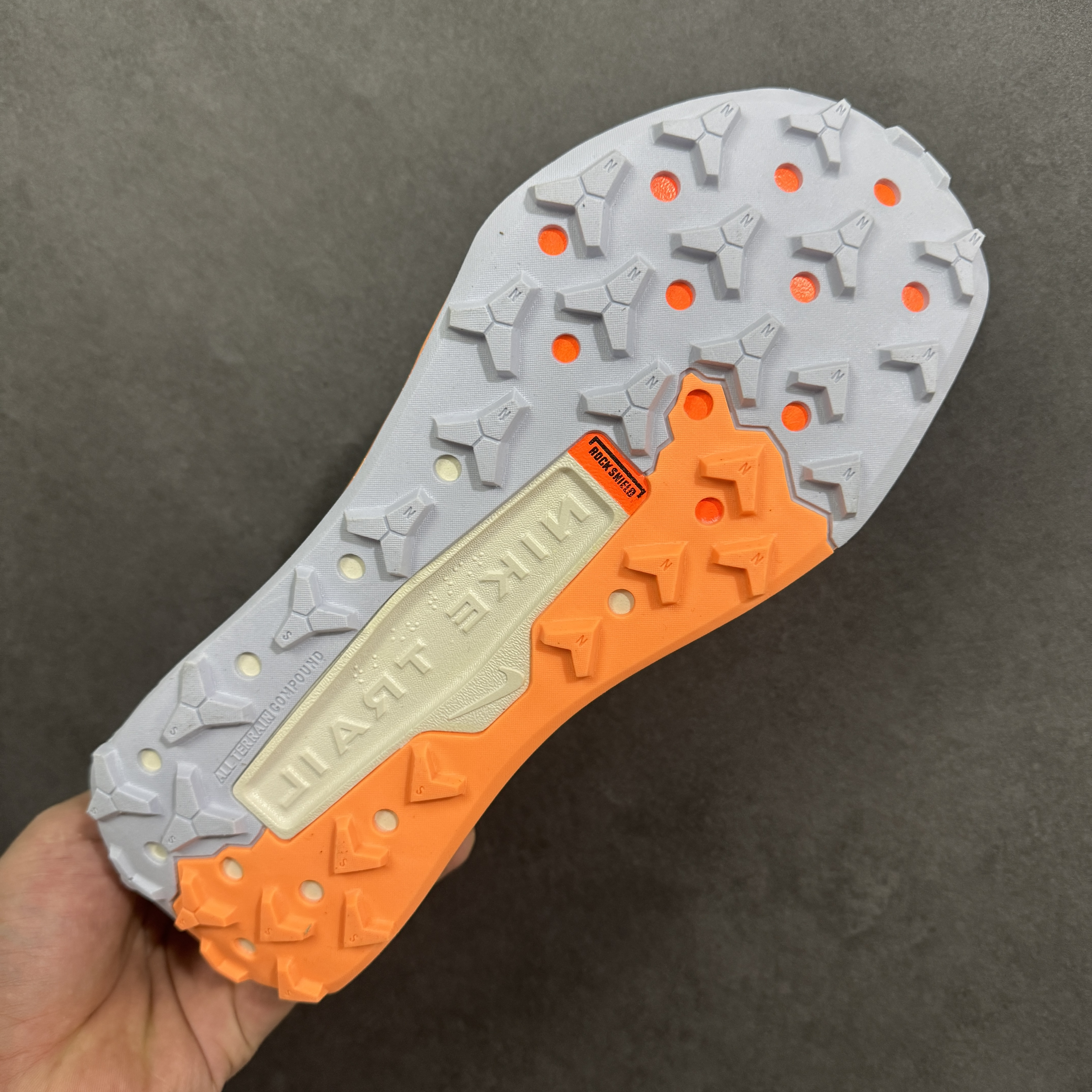 Nike Wildhorse 10 FV2338-006