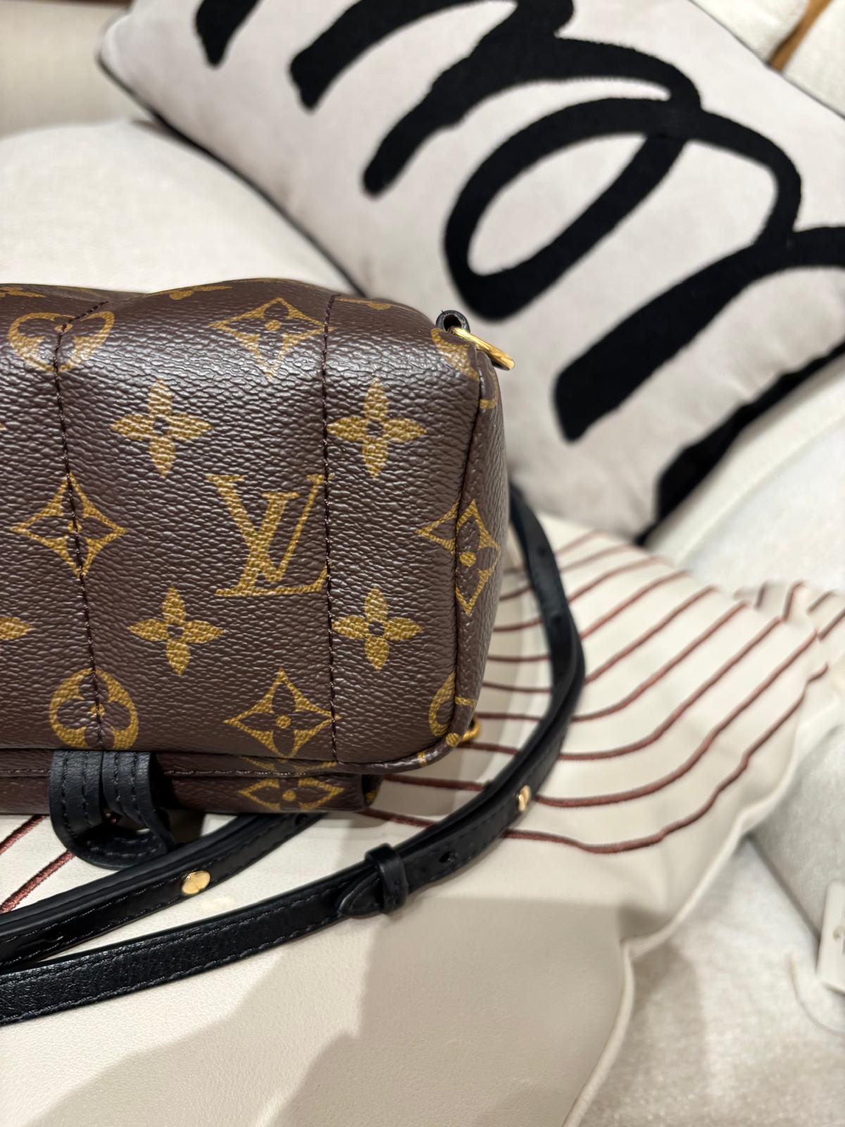 Lv mini Palm Springs backpack M44873 100%Authentic ,98%new ✅dust bag✅Strap