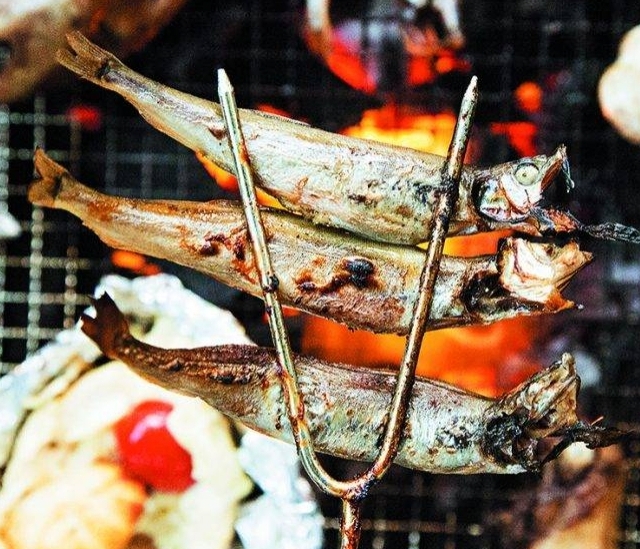 🇮🇸急凍冰島多春魚 8 條/碟