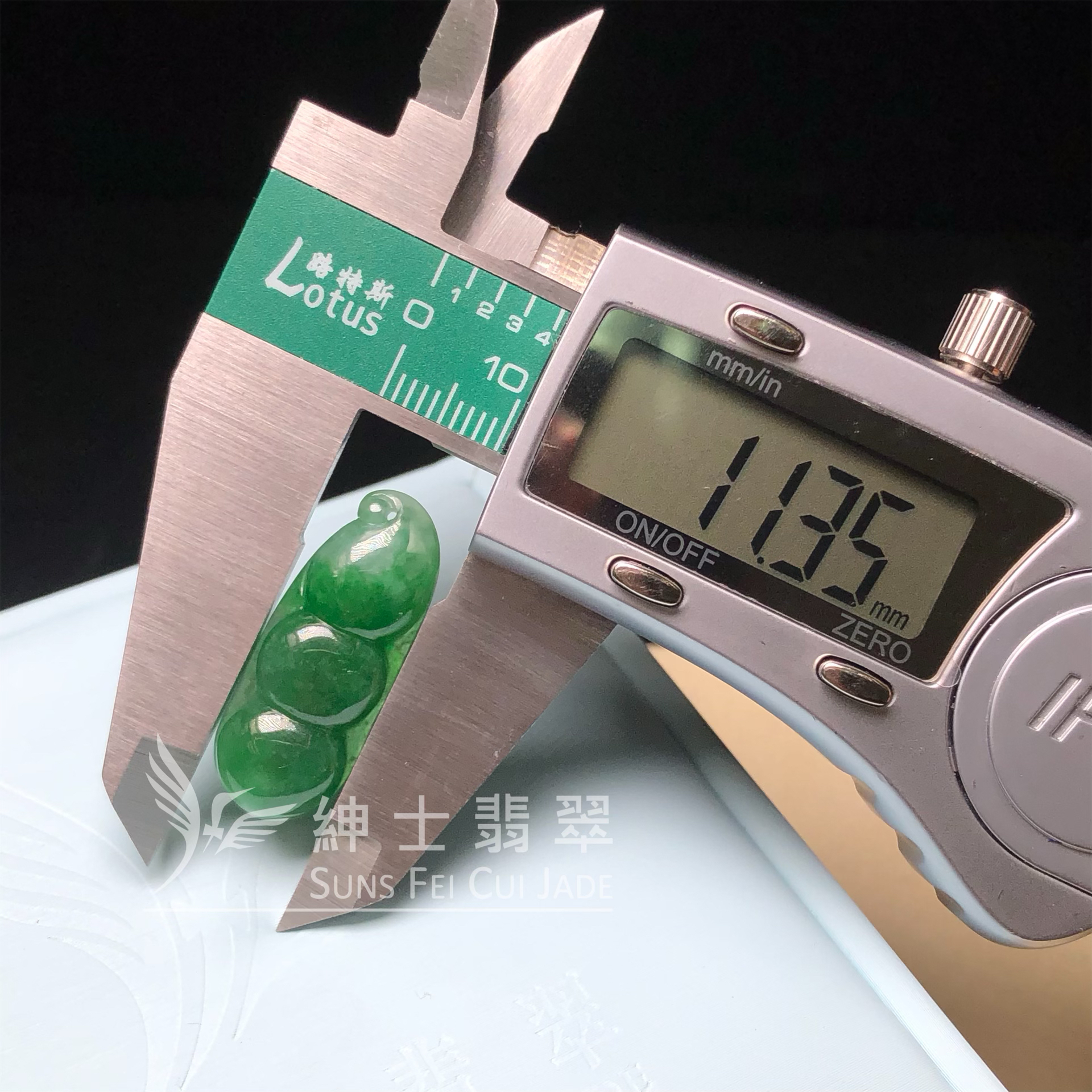 B08979 滿色福豆