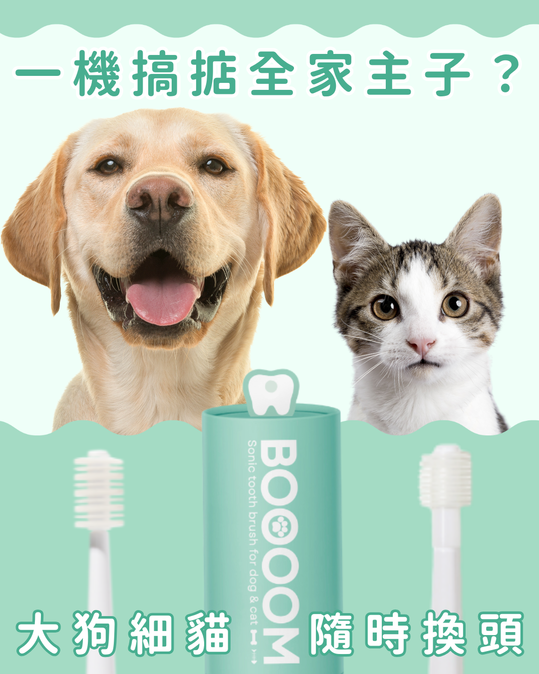 BOOOOM【日本製】替換刷頭▪︎寵物專用360°聲波振動牙刷