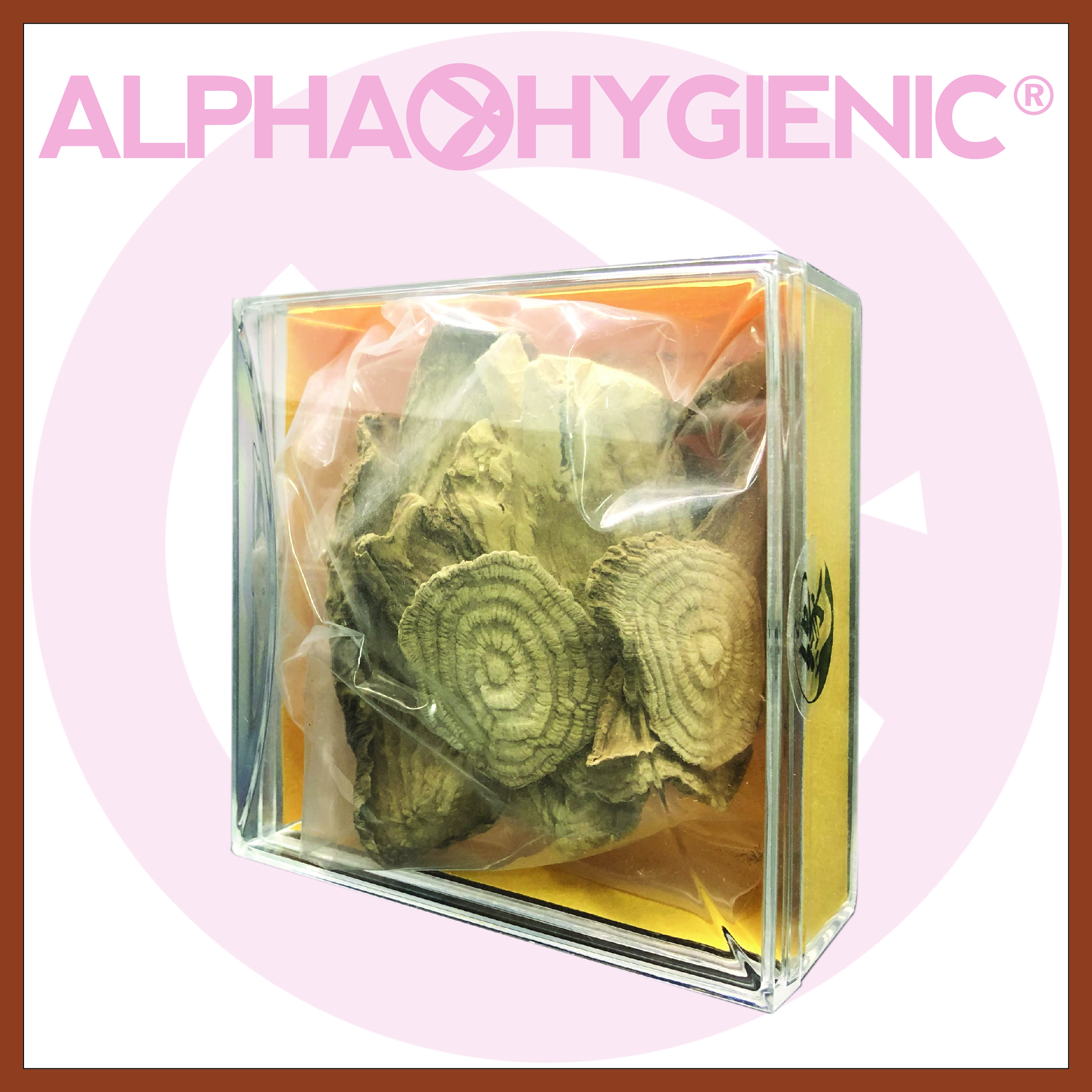 野生土人蔘(約50g)