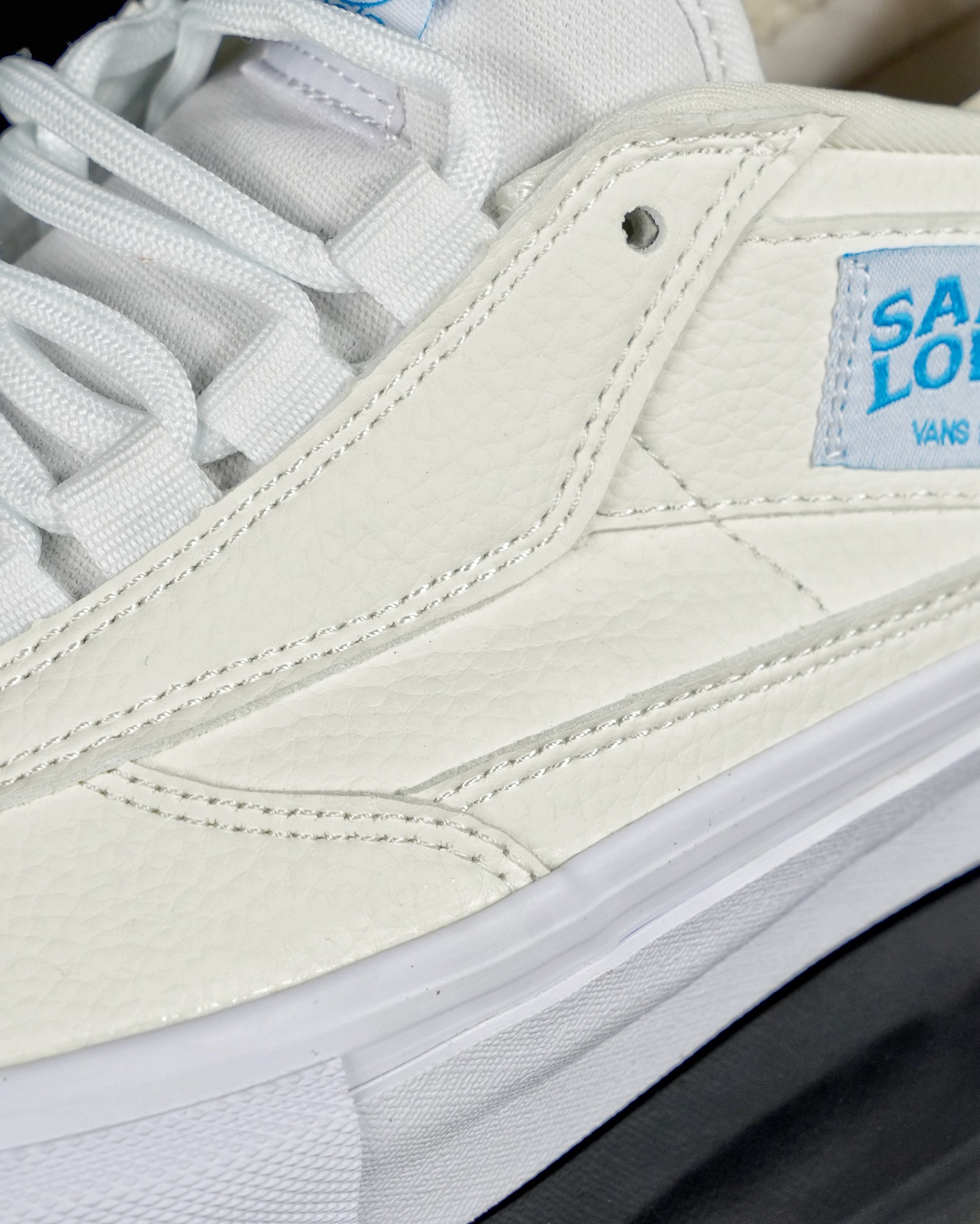Vans Skate Safe Low