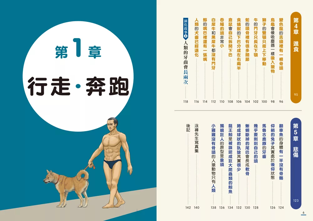 邦聯 動物骨骼驚奇大解密