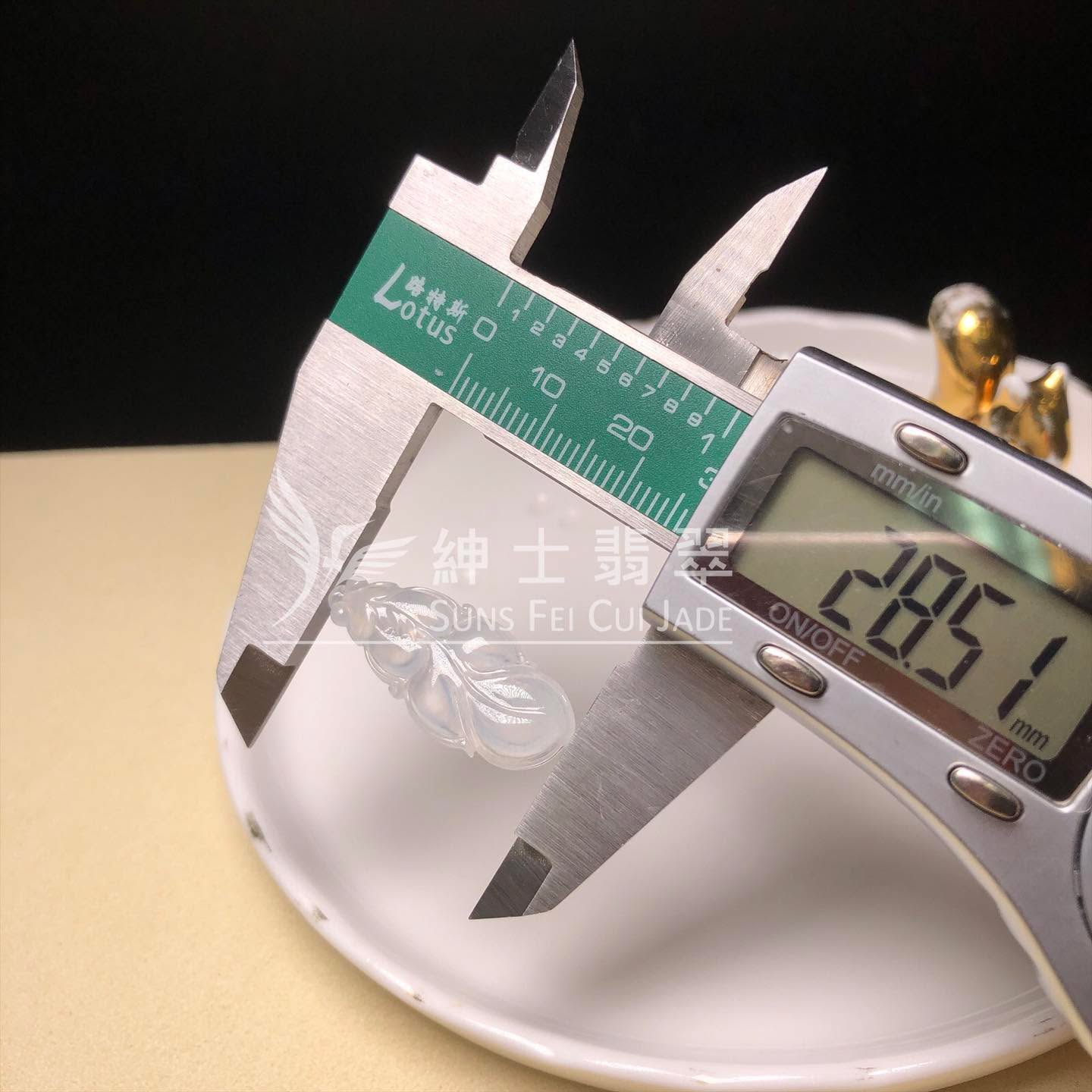B08960 冰種福葉