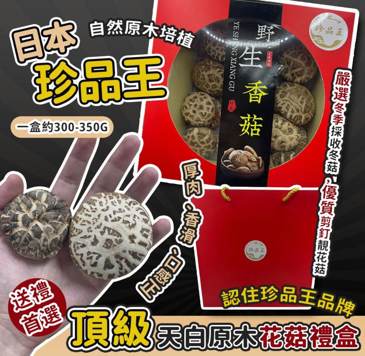 日本珍品王-頂級天白原木花菇禮盒🍄XL