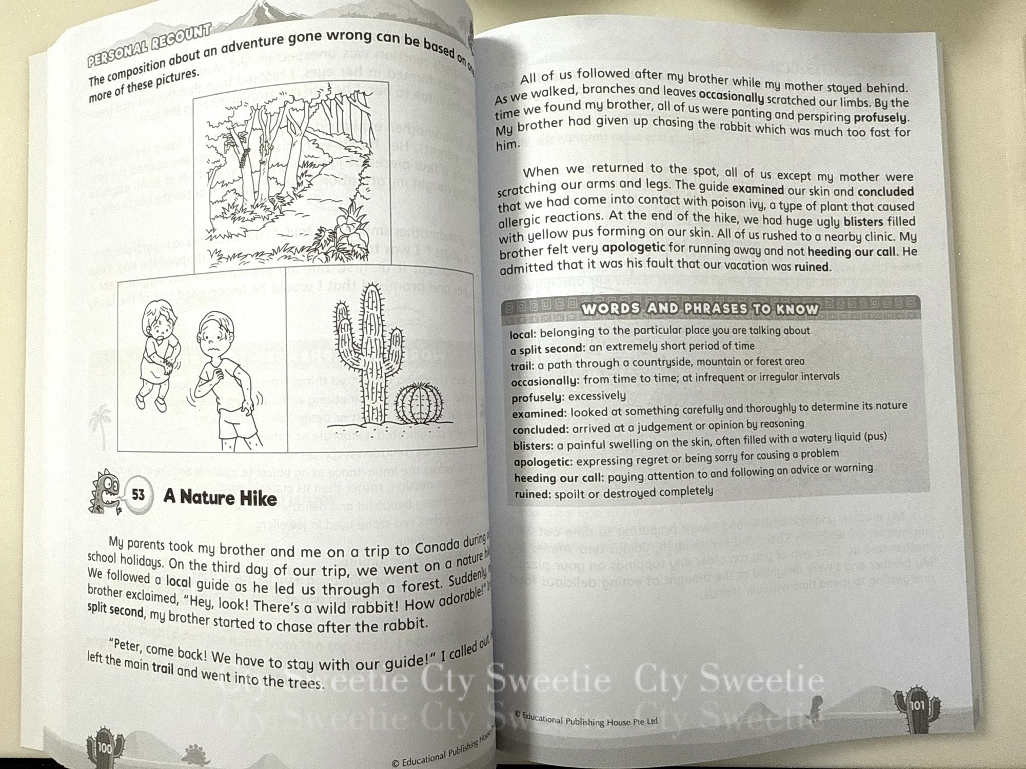 English Mega Compositions (New Edition)