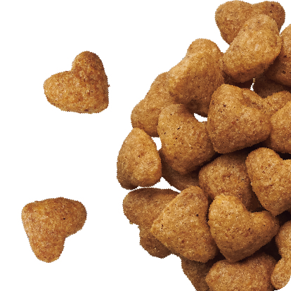 Beauty Pro 10歲以上高齡犬糧 2.3 Kg：呵護關節與皮膚，照料食物過敏，維持健康免疫力