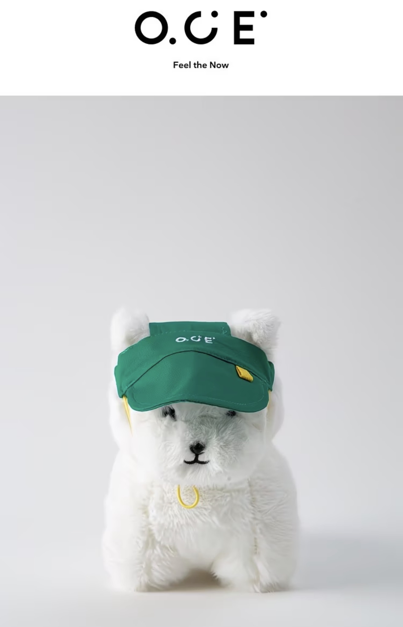 Sports Team - Plush 