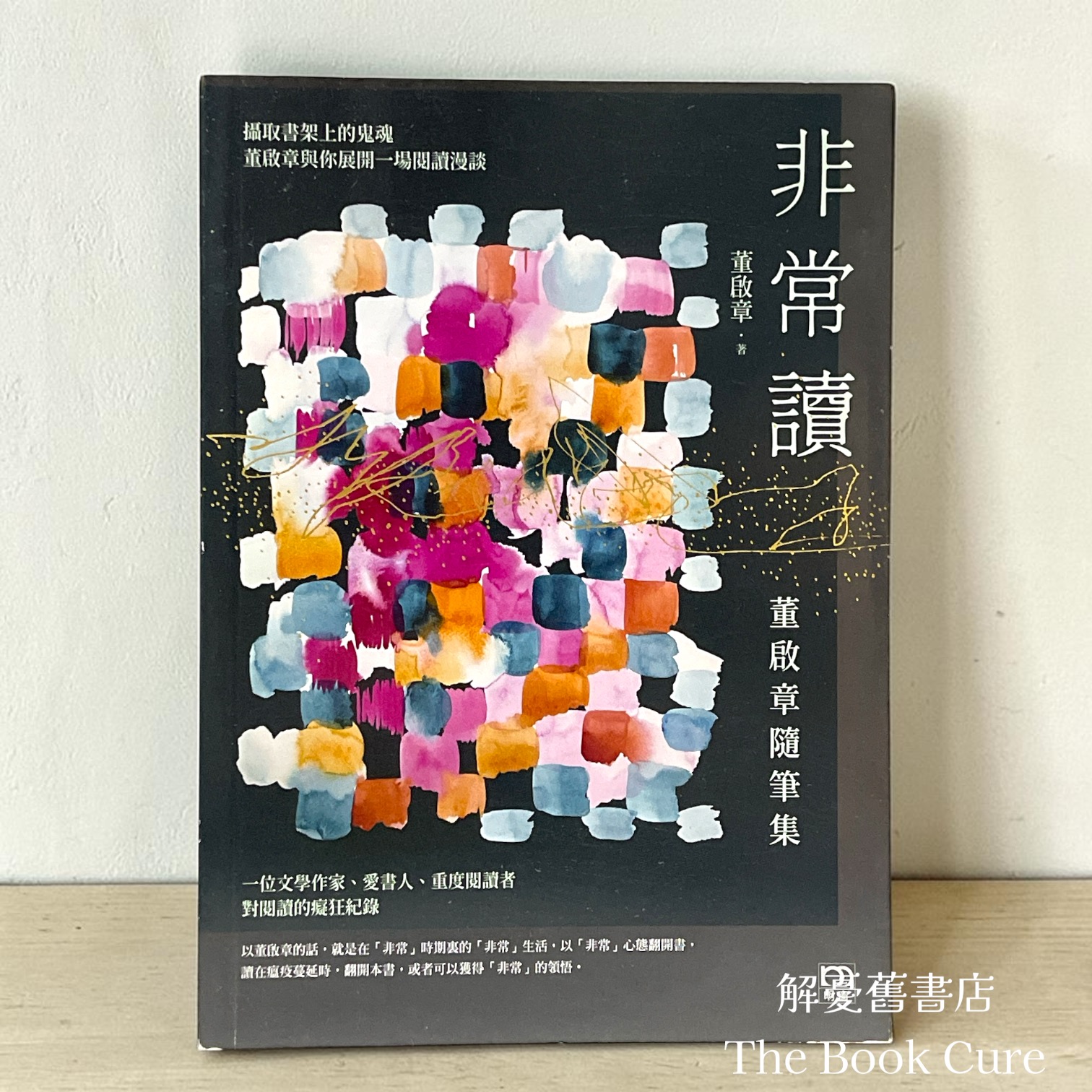 非常讀：董啟章隨筆集 / 董啟章 著