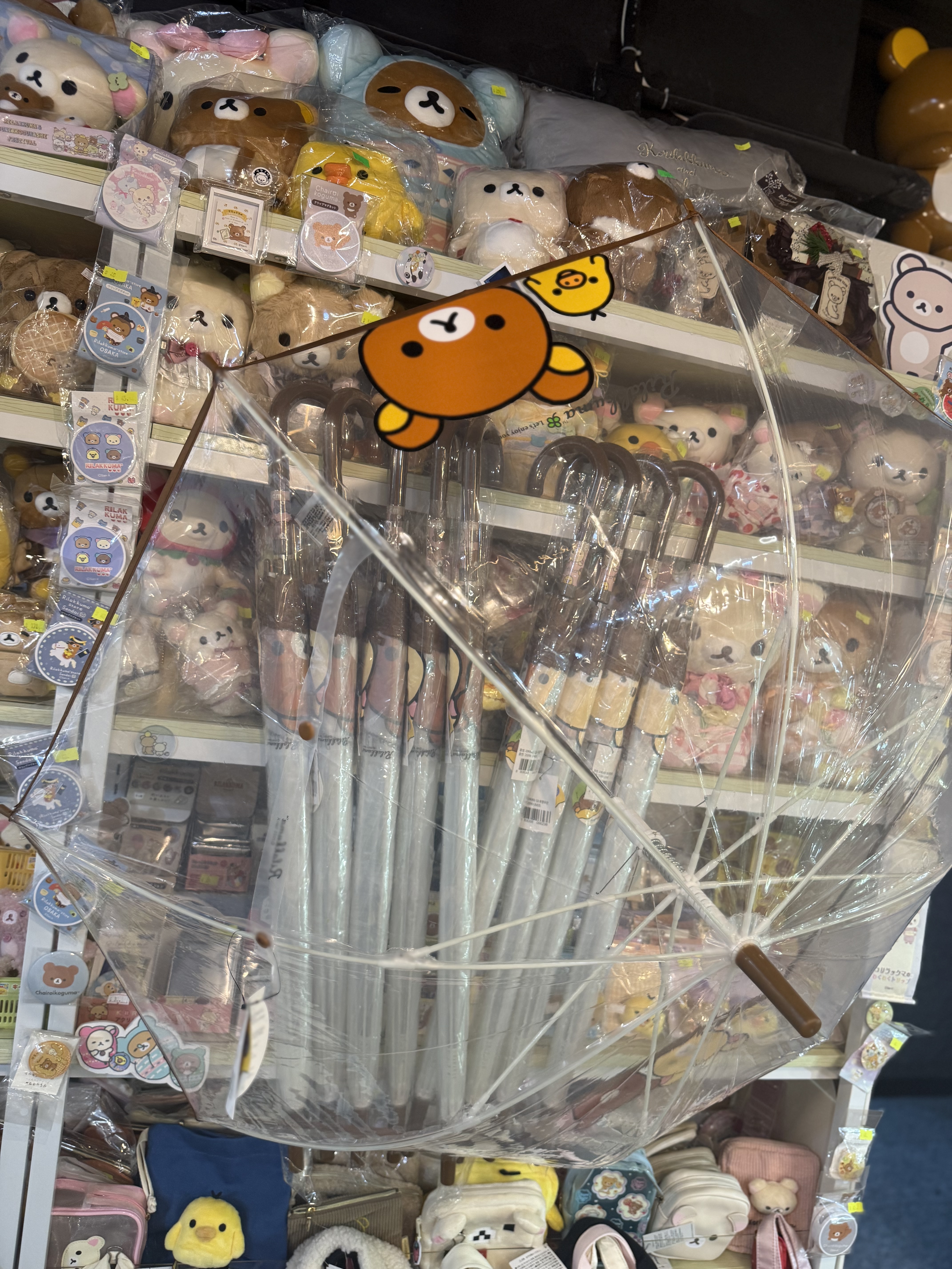 《現貨》全新Rilakkuma韓國專店限定 長身透明遮