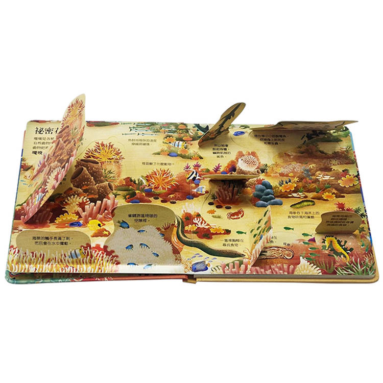 🔸預購貨品🔸Look inside-珊瑚礁